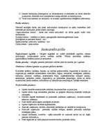 Paraugs 'Darba (amata) apraksts personāldaļas vadītājam', 3.