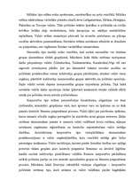 Referāts 'Autoritārs politiskais režīms', 5.