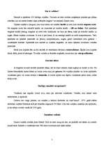 Referāts 'Vulkāni', 6.