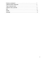 Biznesa plāns 'Biznesa plāns SIA "Party Time"', 2.