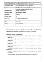 Biznesa plāns 'Biznesa plāns SIA "Party Time"', 4.