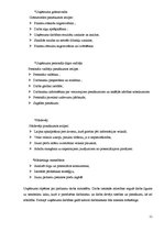 Biznesa plāns 'Biznesa plāns SIA "Party Time"', 11.