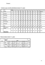 Biznesa plāns 'Biznesa plāns SIA "Party Time"', 13.