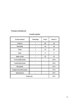 Biznesa plāns 'Biznesa plāns SIA "Party Time"', 15.