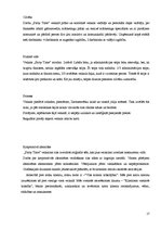 Biznesa plāns 'Biznesa plāns SIA "Party Time"', 17.