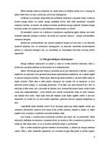 Referāts 'Sabiedriskā transporta mezgli', 8.