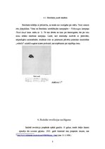 Referāts 'Reklāmas attīstība no 1960. līdz 1975.gadam - radošā revolūcija', 8.