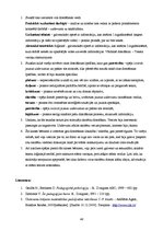 Prakses atskaite 'Pedagoģiskās novērošanas prakses atskaite', 46.