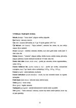 Referāts 'Zemnieku dzīve edo periodā Japānā (1600.-1868.)', 20.