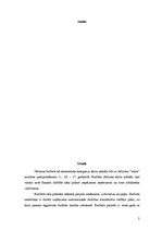 Referāts 'Budžets uzņēmējdarbībā, tā veidi', 2.