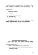 Referāts 'Budžets uzņēmējdarbībā, tā veidi', 3.