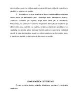 Diplomdarbs 'Darbinieka un darba devēja uzteikums', 11.