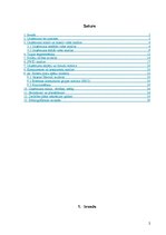 Referāts 'AS "Grindex" tirgus izpēte', 2.