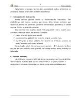 Prakses atskaite 'Prakses atskaite', 8.