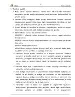 Prakses atskaite 'Prakses atskaite', 13.