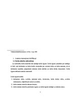 Referāts 'Darba samaksas uzskaite', 5.