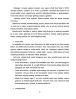 Referāts 'Darba samaksas uzskaite', 15.