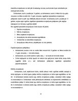 Referāts 'Darba samaksas uzskaite', 20.