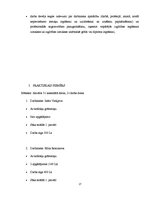 Referāts 'Darba samaksas uzskaite', 27.