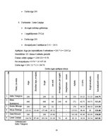 Referāts 'Darba samaksas uzskaite', 29.