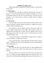 Referāts 'Iekšdedzes dzinēji', 5.