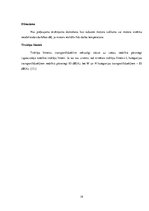 Referāts 'Iekšdedzes dzinēji', 19.