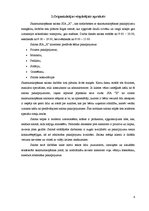 Biznesa plāns 'Skaistumkopšanas salona SIA "X" darbības projekts', 4.