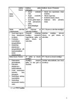 Biznesa plāns 'Skaistumkopšanas salona SIA "X" darbības projekts', 8.