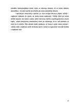 Biznesa plāns 'Skaistumkopšanas salona SIA "X" darbības projekts', 10.