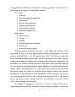 Referāts 'Apmierinātība ar darbu', 2.