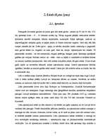 Referāts 'Lūša sensorā sistēma', 4.