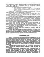 Referāts 'Noziedzīga nodarījuma subjekts', 3.