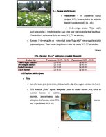 Referāts 'Lauku tūrisma uzņēmums SPA viesnīca "Ezeri"', 3.