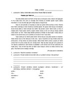 Paraugs 'Darba lapa par Raini', 1.