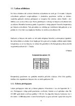Referāts 'Aviolīniju pakalpojumu kvalitātes raksturojums ASV un Eiropā', 6.