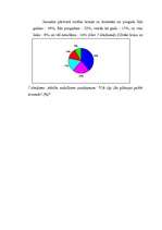 Referāts 'Daugavpils jaunatne Eiropā un ASV darba tirgū', 17.