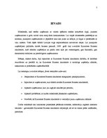 Referāts 'Kurzemes Biznesa inkubators kā risinājums jauno uzņēmumu problēmām', 3.