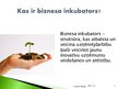 Referāts 'Kurzemes Biznesa inkubators kā risinājums jauno uzņēmumu problēmām', 15.