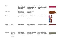 Konspekts 'Pigmenti', 6.