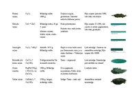 Konspekts 'Pigmenti', 7.