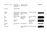 Konspekts 'Pigmenti', 10.