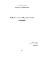 Paraugs 'Produkta vienas vienības pilna izmaksu kalkulācija', 1.