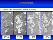 Prezentācija 'Ūdens piesārņojums', 12.