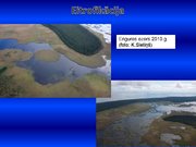 Prezentācija 'Ūdens piesārņojums', 13.