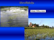 Prezentācija 'Ūdens piesārņojums', 14.