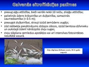 Prezentācija 'Ūdens piesārņojums', 15.