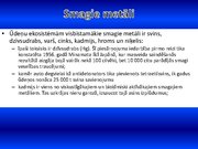 Prezentācija 'Ūdens piesārņojums', 17.