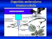 Prezentācija 'Ūdens piesārņojums', 18.