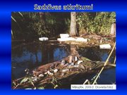 Prezentācija 'Ūdens piesārņojums', 20.