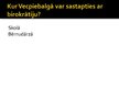 Prezentācija 'Birokrātija', 8.